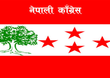 महामारीको रूपमा फैलिएको डेंगु प्रभावित परिवारको सेवामा जुट्न काँग्रेस कार्यकर्ताहरूलाई आव्हान