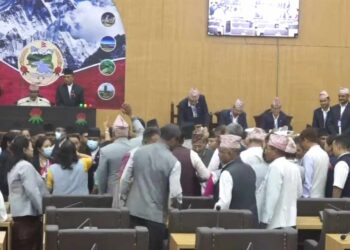 कार्यवाहक सभाध्यक्ष मन्सुरीको मुख्यमन्त्री थापालाई विश्वासको मत दिलाउँदै नयाँ अभ्यास