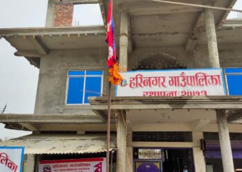 हरिनगरमा विद्यालय बन्द गरेर आन्दोलनमा जाने शिक्षकहरुलाई कारबाही गर्ने (विज्ञप्तिसहित)