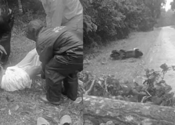 बराहक्षेत्रमा हावाहुरीको कारण रुख ढलेर स्कुटर किच्दा एक जनाको मृत्यु