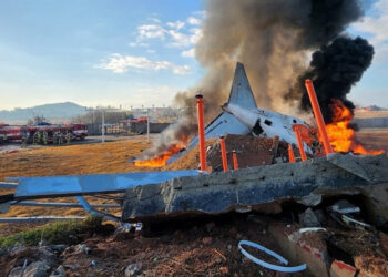 दक्षिण कोरियामा विमान दुर्घटना हुँदा १७९ जनाको मृत्यु, २ जनाको उद्धार